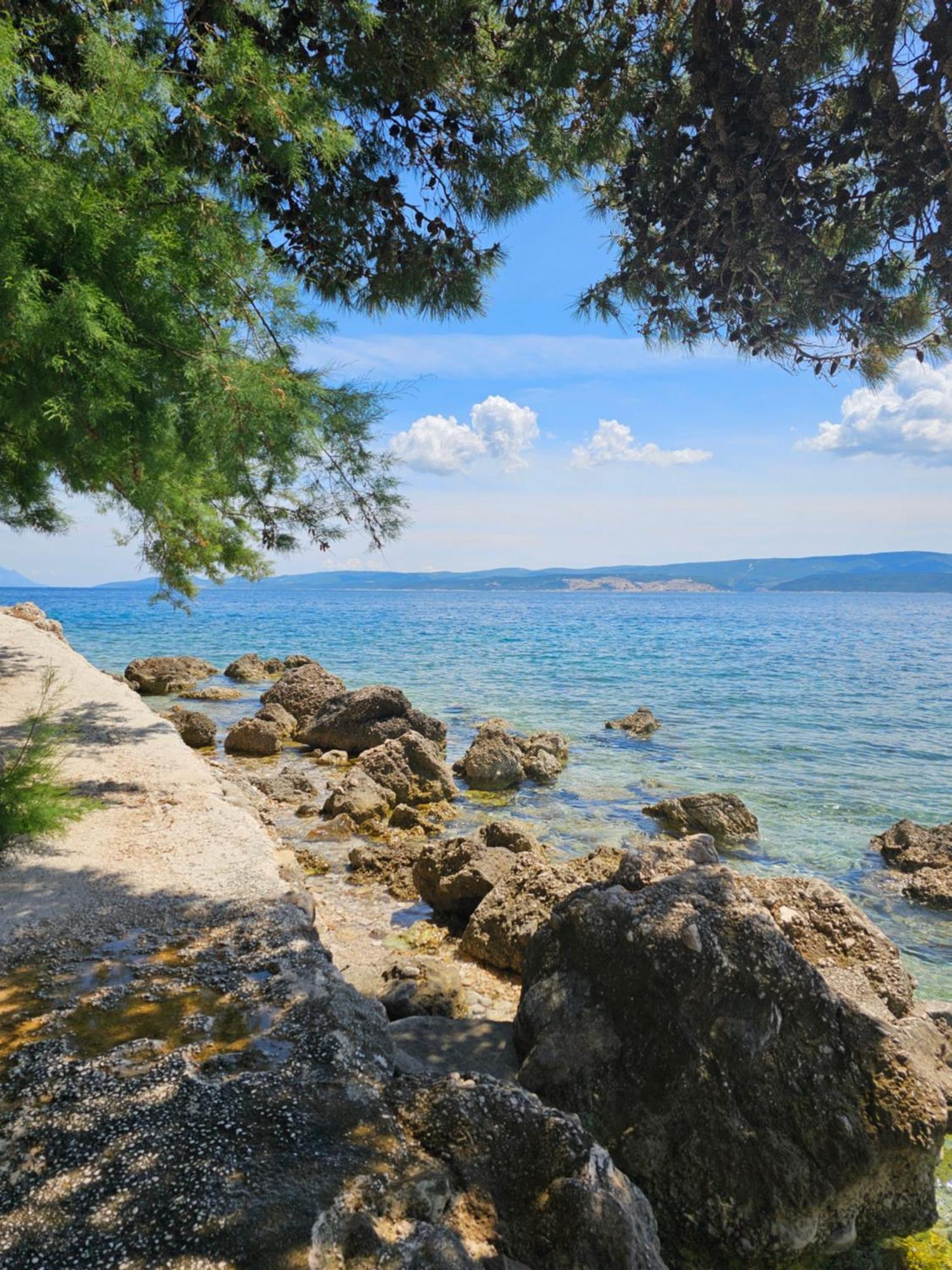 Villa Roing S Stanici Екстериор снимка